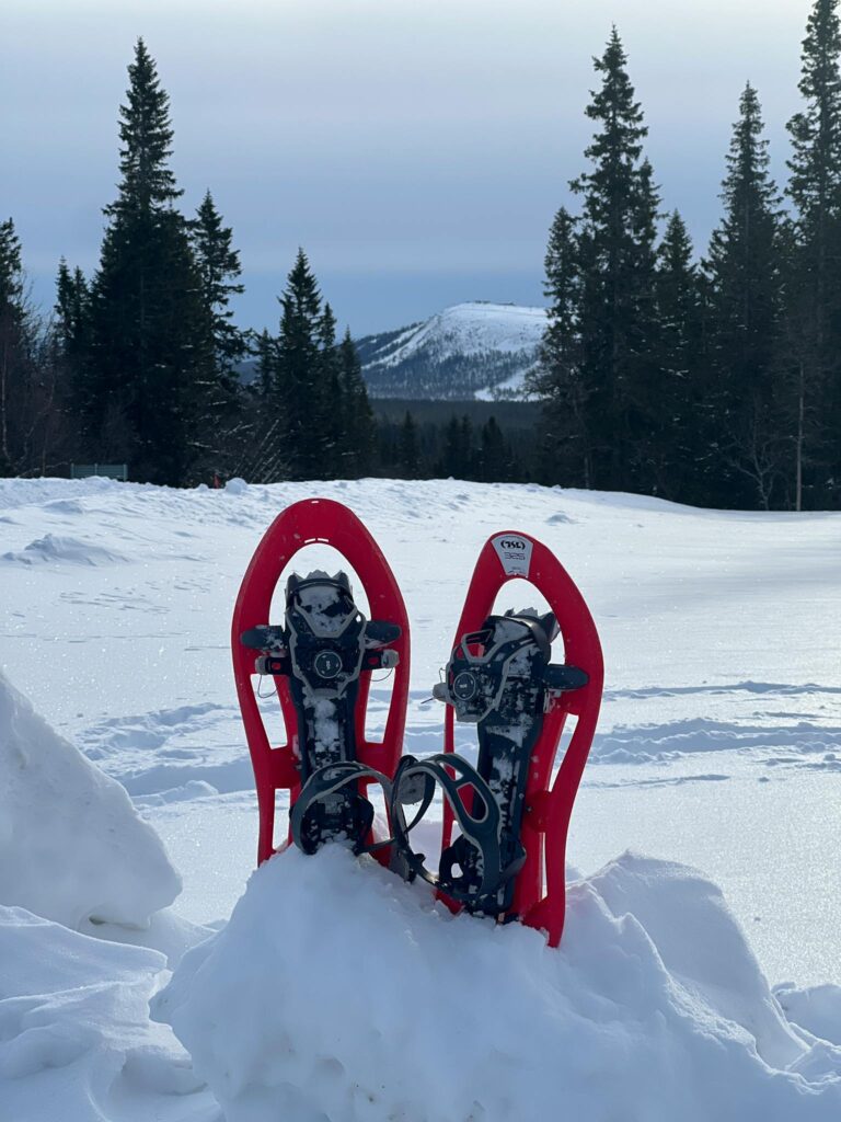Pair of red snowshoes in snowy Lapland landscape with evergreen trees. Saariselkä
