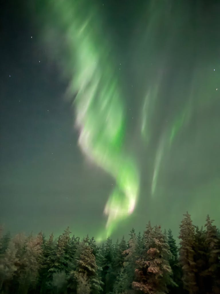 Stunning display of northern lights over frosty forest in Finnish Lapland during winter night.